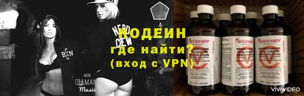 дмт Алзамай