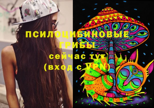 бошки Алексин