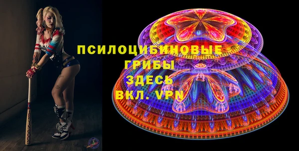 бошки Алексин