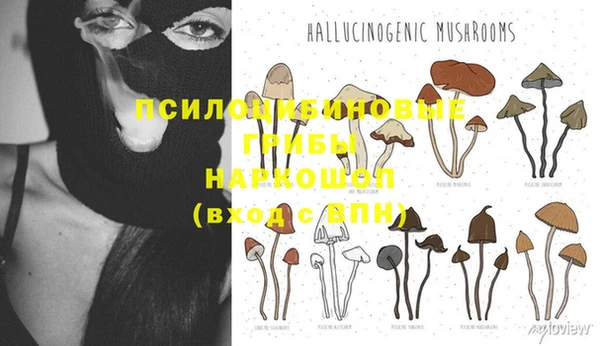 каннабис Алексеевка