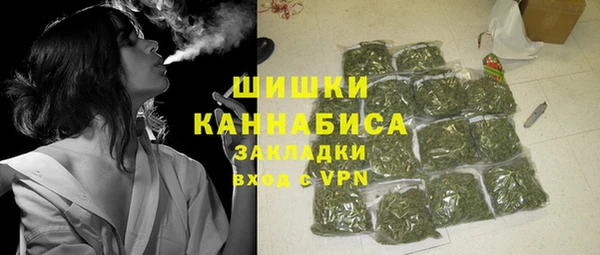 дмт Алзамай